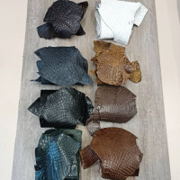 Кожа Пола Крокодила 1,3-1,6 мм ⠀