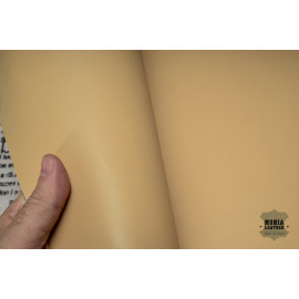 №641 Растишка Tempesti Shell 2мм Лот из 2++ листа 20*30 см, уценка