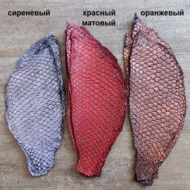 Кожа рыбы Карп Перламутр⠀  ⠀
