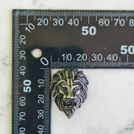 Рельефное кончо #19 «Голова Льва», 32*25мм, мельхиор