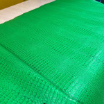 Кайман, ярко-зеленый