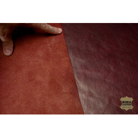 №1137 Cinque stelle Elemento Bordo 1,5-1,6мм