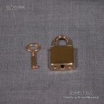 Замок декоративный. Прямоугольный. Золото. 20 мм.