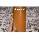 №1231/1 Растишка Tempesti Tan 2-2,2мм - 112 дм