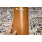 №91 Растишка Tempesti Tan 2-2,2мм