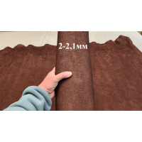 №290/3 Растишка Badalassi Carlo Tacca Moro 2-2,1мм - 150 дм