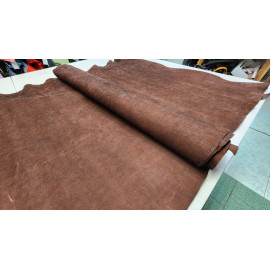 №290/3 Растишка Badalassi Carlo Tacca Moro 2-2,1мм - 150 дм