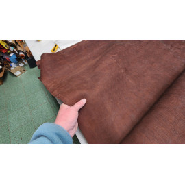 №290/4 Растишка Badalassi Carlo Tacca Moro 2-2,1мм - 142 дм