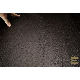 №497 Растишка Artigiano Del Cuoio Cucinelli Struzzo Carbone 1,1-1,3мм