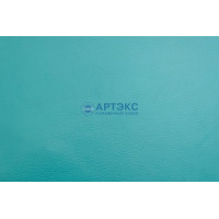 Тулип Тулип