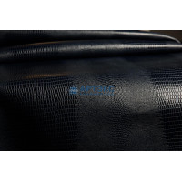 Ящерица скат