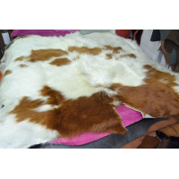 "Волосатая Люся"