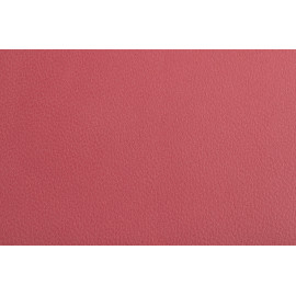 Овчина. Цвет: розовый. 0,8 мм. (Carisma Spa)