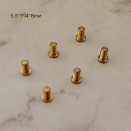 Винты латунные: 5,5*M4*5мм, 5,5хM4х8мм, 10*M4*8мм, 10хM4х10мм