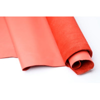 Берг 1.2-1.4. Коралл