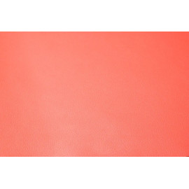 Берг 1.2-1.4. Коралл